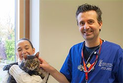 Researchers led by Dr Stijn Niessen at the Royal Veterinary College have officially launched a new Feline Diabetic Remission Clinic in the Queen Mother Hospital for Animals in Hertfordshire, to investigate the optimum methods to achieve good control, and ultimately diabetic remission, in diabetic cats.