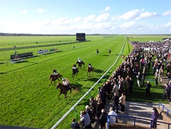 The Royal Veterinary College has published the results of a study1 which found that 70% of injuries recorded among thoroughbred flat racing horses on race-day were minor and not career-ending. 