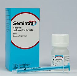 Boehringer Ingelheim Vetmedica has launched Semintra, a new liquid treatment for cats with chronic kidney disease (CKD)