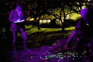 A new study of UK snail behaviour using LED and UV light tracking has found that the nocturnal creatures can explore the length of an average British garden in just one night, reaching a top speed of 1mph (metre per hour).