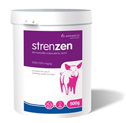 Novartis Animal Health has announced the launch of Strenzen, an oral water medication for pigs, indicated for the treatment of gastrointestinal infections caused by Escherichia coli, Clostridium perfringens and Salmonella Typhimurium, and for respiratory tract infections caused by Actinobacillus pleuropneumoniae, Pasteurella multocida and Streptococcus suis.