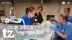 Twycross Zoo has released a video on YouTube in which Sarah Chapman, Head of Veterinary Sciences describes the challenges of being a zoo vet