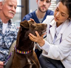 The Centre for Evidence-based Veterinary Medicine at The University of Nottingham is calling for veterinary surgeons to take part in a survey about booster vaccination consultations in cats and dogs.