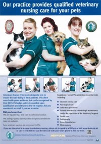 The British Veterinary Nursing Association and the Society of Practising Veterinary Surgeons have launched a waiting room poster to help practices raise awareness of the status of their VNs