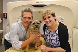 The International Veterinary Epilepsy Task force, a group of 26 veterinary practitioner, neuropharmacology, neuropathology and neurology experts led by Holger Volk, Professor of Veterinary Neurology and Neurosurgery at the RVC, has issued new guidelines for treating and caring for dogs with epilepsy.