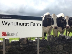 The University of Bristol's School of Veterinary Sciences at Langford has opened a £2 million state-of-the-art dairy farm.