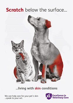 XLVets, the collaborative group of 45 independent small animal practices, has announced the launch of 'Scratch Below the Surface', a campaign to raise awareness of skin conditions amongst pet owners.