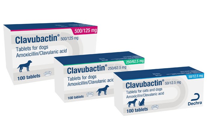 Dechra has added Clavubactin (amoxicillin and clavulanic acid), for the treatment of treat urinary tract, respiratory, gastrointestinal, oral and skin infections in cats and dogs, to its range.