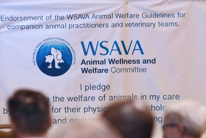 Animal Welfare Global Guidelines for Companion Animal Practitioners and the Veterinary Team