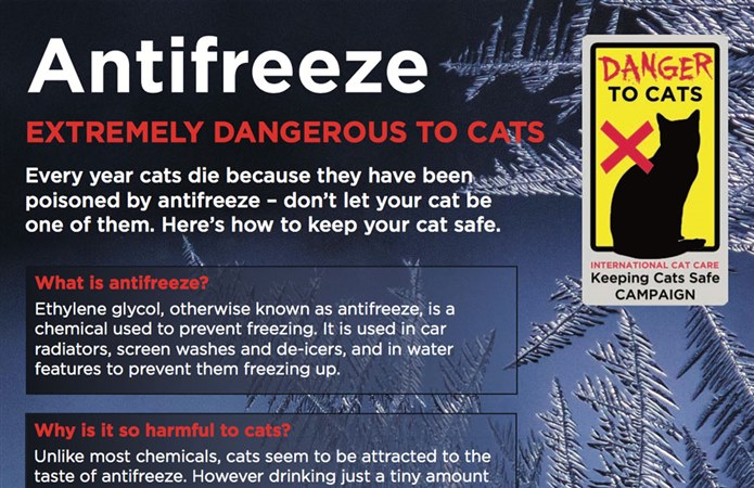 International Cat Care (iCatCare) has produced a free practice poster warning of the dangers of antifreeze to cats.