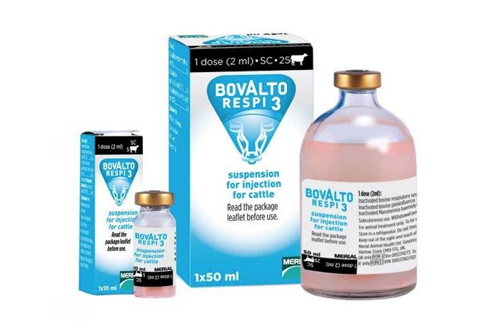 Boehringer Ingelheim Animal Health has announced that its BRD vaccines, Bovalto Respi 3 and Bovalto Respi 4, are now licensed for use in pregnant cows. 