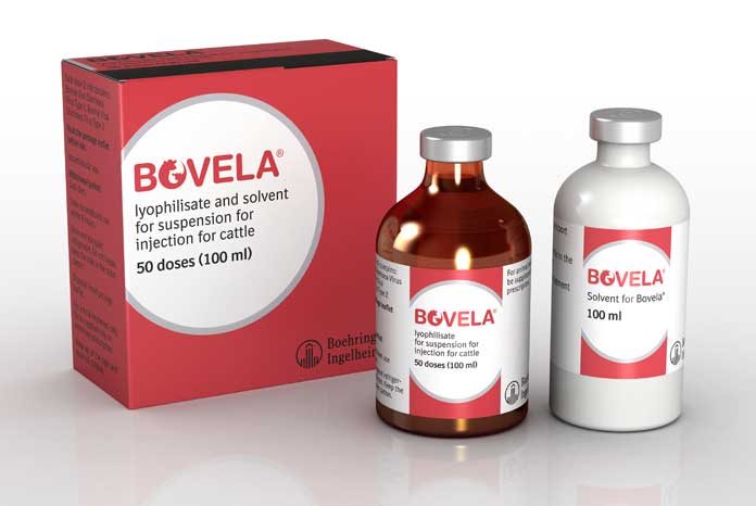 Boehringer Ingelheim reports that Bovela, the BVD vaccine it launched in March 2015, became the market leader in terms of share of sales per month1 in July 2017. 