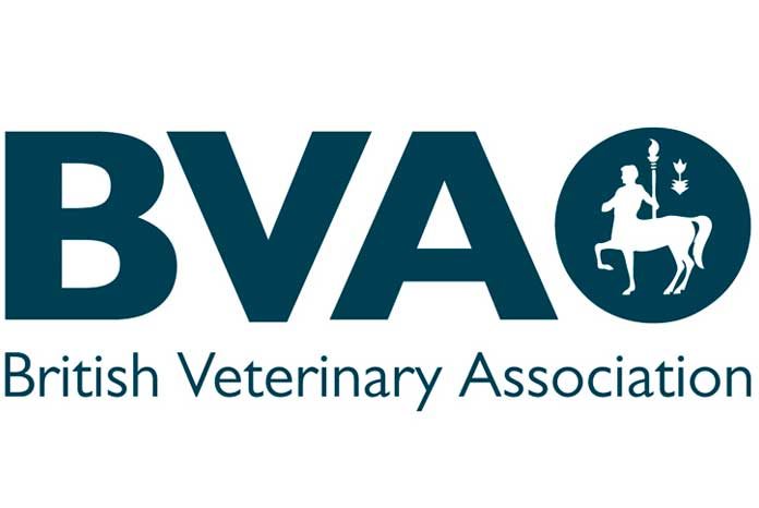 The BVA