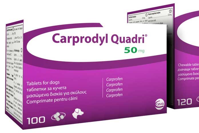 Ceva Animal Health has launched a new carprofen, Carprodyl Quadri, for the reduction of inflammation and pain caused by musculo-skeletal disorders and degenerative joint disease and for the management of post-operative pain in dogs.