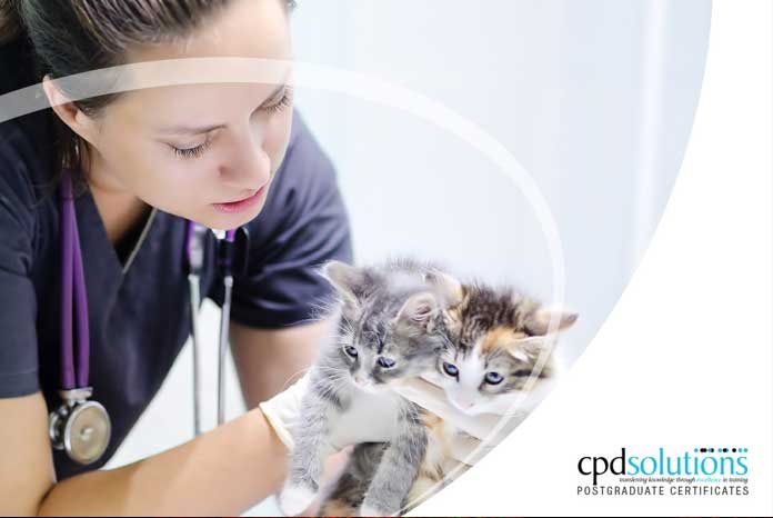 CPD Solutions has joined forces with the University of Chester to offer small animal vets a way to gain the PgCert in surgery in 12 months.