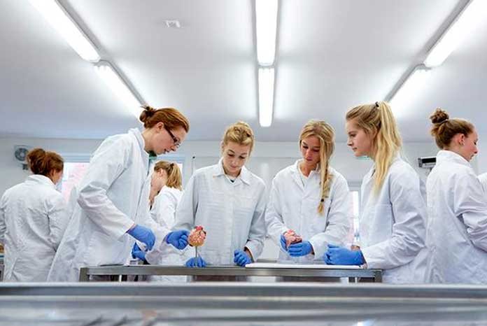 Harper Adams University and Keele University have announced that they are in exploratory talks to establish a new UK veterinary school.