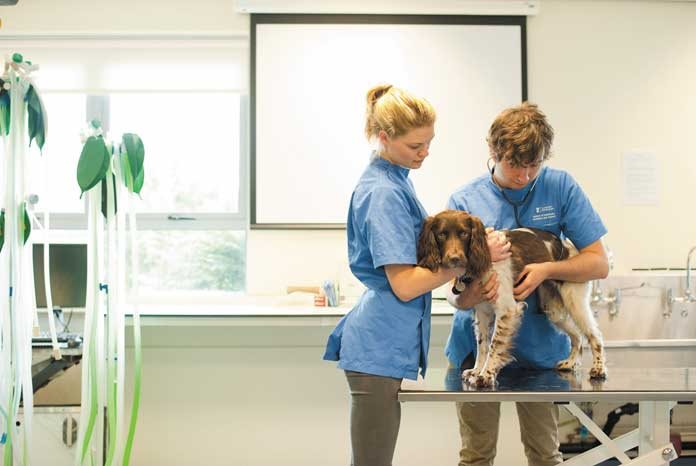 The School of Veterinary Medicine and Science (SVMS) at the University of Nottingham is launching a new three-year master’s degree in veterinary physiotherapy, starting in September 2018.