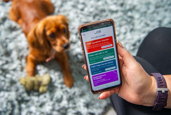 Vet AI, which launched Joii, its remote veterinary consultation service earlier this year, has announced a partnership with pet insurer Animal Friends. 