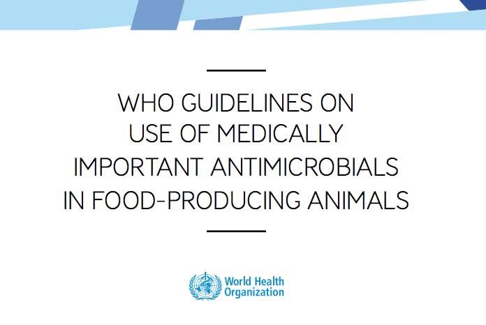 The World Health Organisation (WHO) has issued new guidelines concerning the use of medically-important antimicrobials in food-producing animals, which have been welcomed by the British Veterinary Association. 