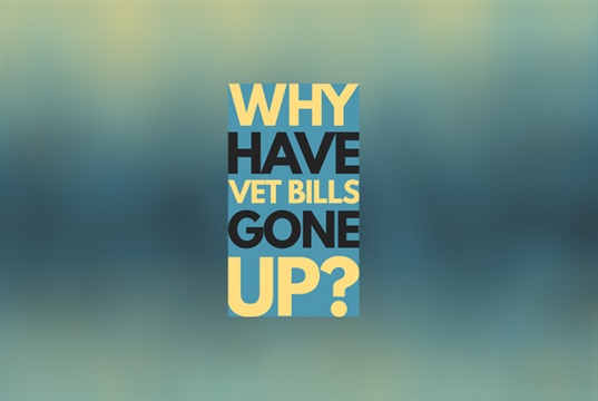 Why have vet bills gone up so much?