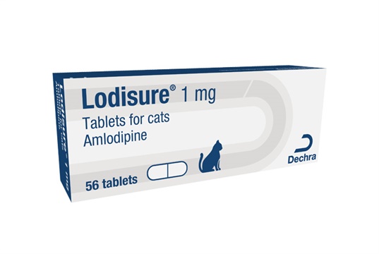 Dechra launches amlodipine product for feline hypertension