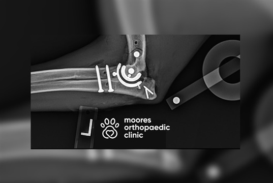 Moores Orthopaedic Clinic gets the go ahead for new canine elbow surgery research